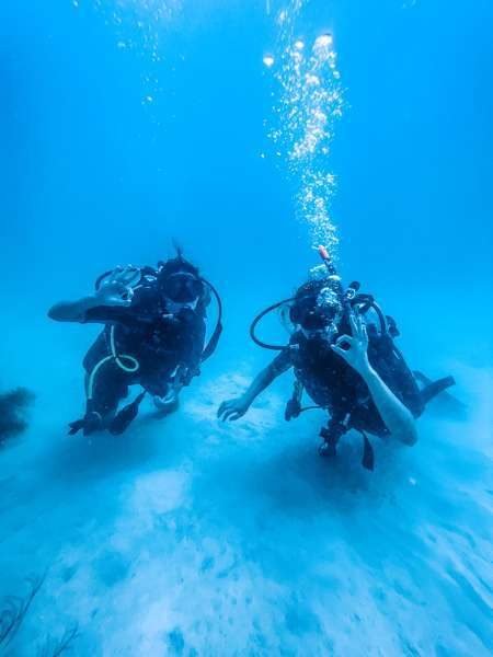 Dos buzos bajo el agua en Bocas del Toro