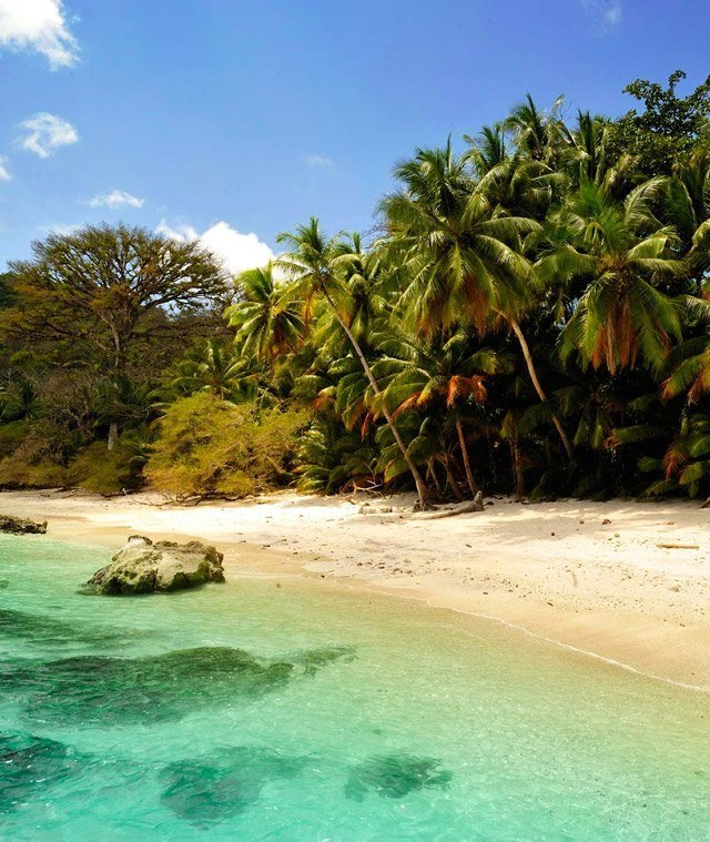 Playa con palmeras en una isla del Parque Nacional Coiba