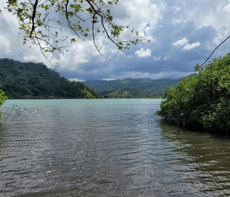 Vista aérea de una isla de Portobelo con agua turquesa