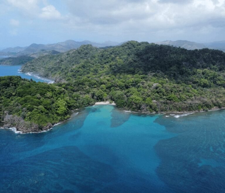 Manglar y aguas tranquilas en Portobelo